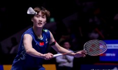 米兰APP下载-关于法国队鏖战泰国队，陈雨菲高光表现的信息